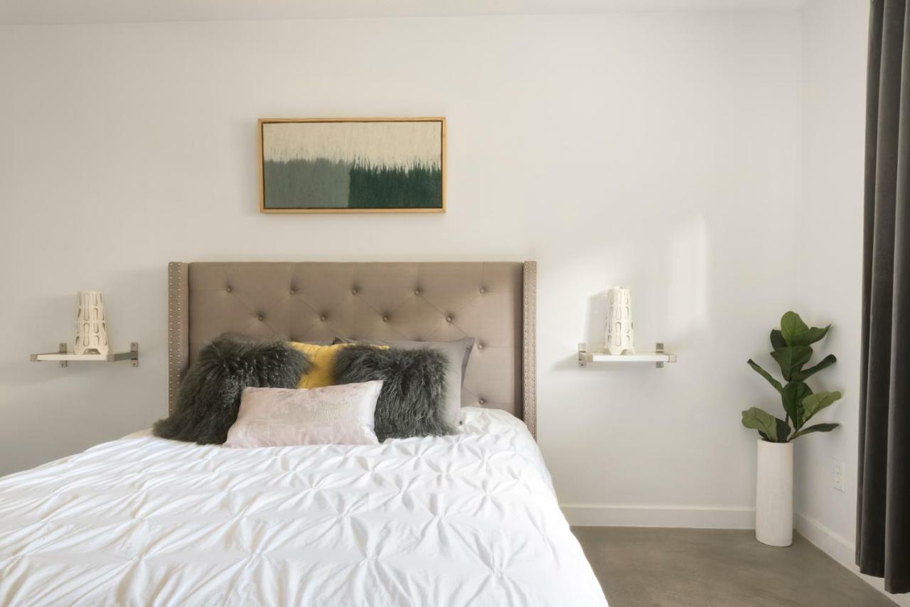 Travis Heights Modern I Villa Austin Kültér fotó